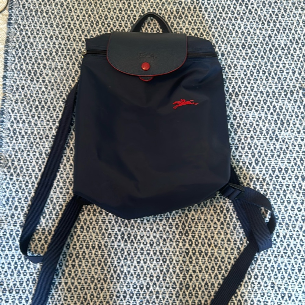 Small longchamp backpack